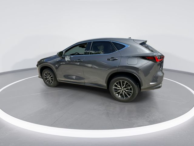 2024 Lexus NX - $38,898