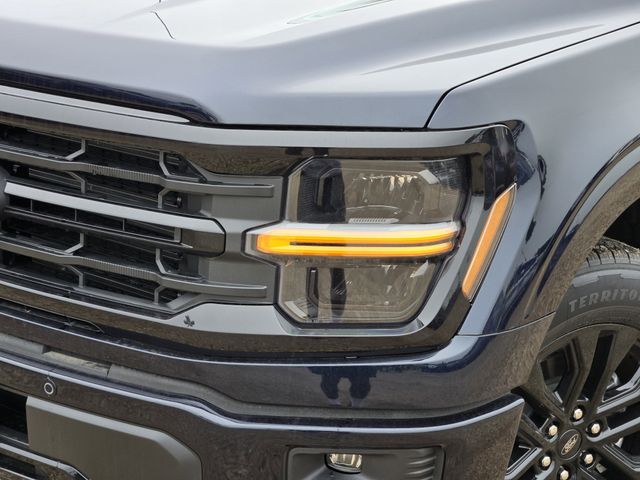 2025 Blue Ford F-150 XLT RWD Truck