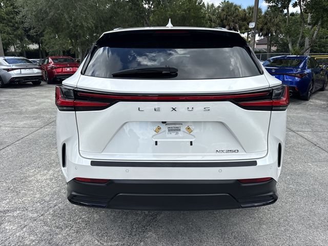 2025 Lexus NX - $37,498