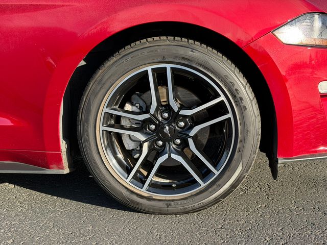 used 2019 Ford Mustang car, priced at $21,995