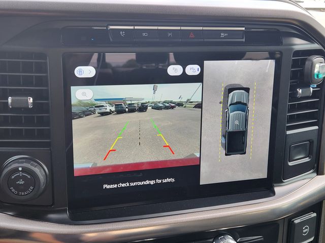 2024 Rapid Red Metallic Tinted Clearcoat Ford F-150 Platinum 4X4 Truck