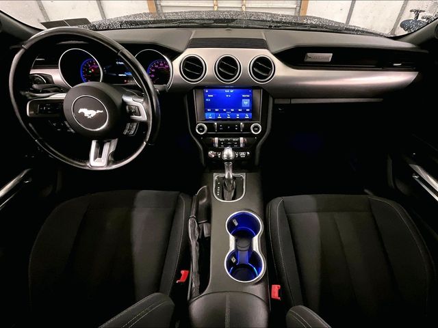 2019 Ford Mustang GT Blue at Grove City Ford