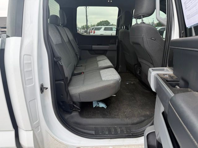 2023 White Ford F-150 XLT 4X4 Truck