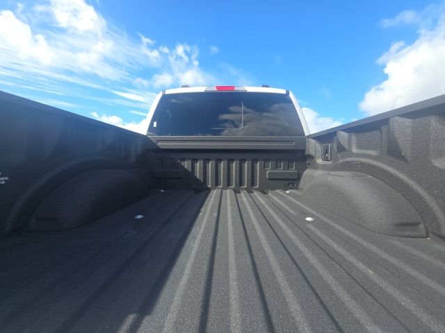 Photo of 2023 Ford F-150 Limited in Dallas, GA - 13,  2023 Ford F-150 Limited:167473A