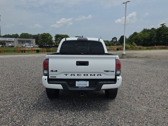 Used 2019 Toyota Tacoma Truck