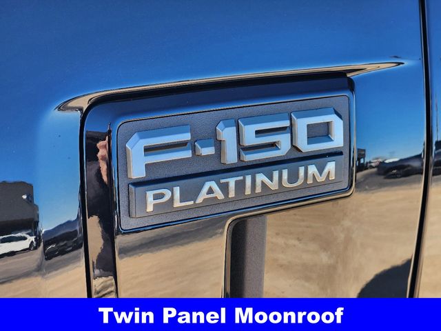 2024 Ford F-150 Platinum 13