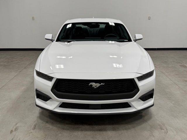 2025 Ford Mustang EcoBoost photo