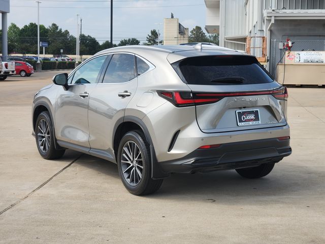 2024 Lexus NX 250 Premium - 4