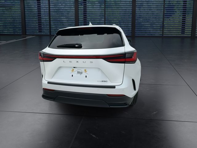 2025 Lexus NX - $39,988
