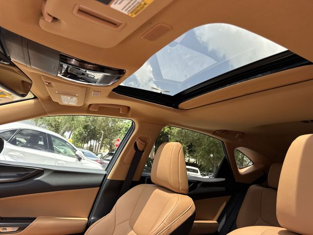 Used 2024 Lexus NX SUV