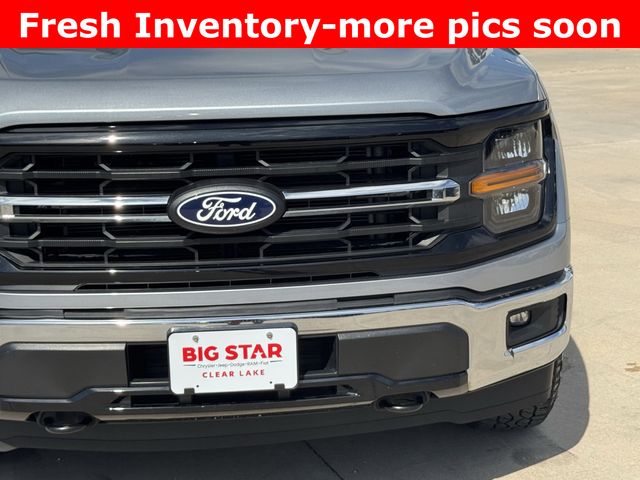 2025 Ford F-150 XLT - 3