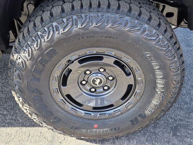 New 2025 Ford Bronco Badlands