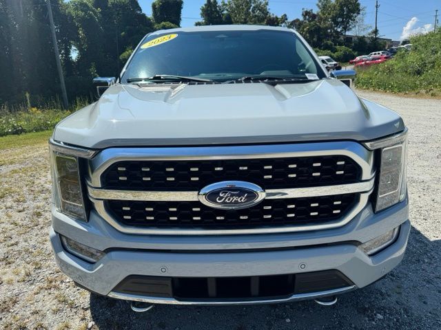 Used 2023 White Ford Platinum image 2