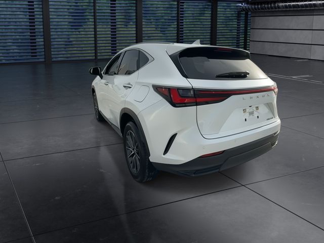 2025 Lexus NX - $42,988