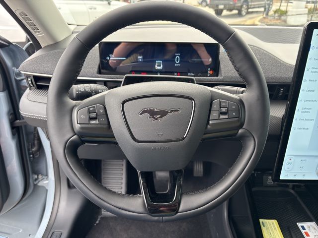 New 2026 Gray Ford Premium image 14