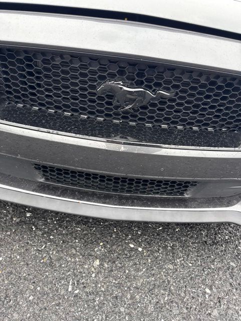 2019 Ford Mustang GT Gray at Grove City Ford