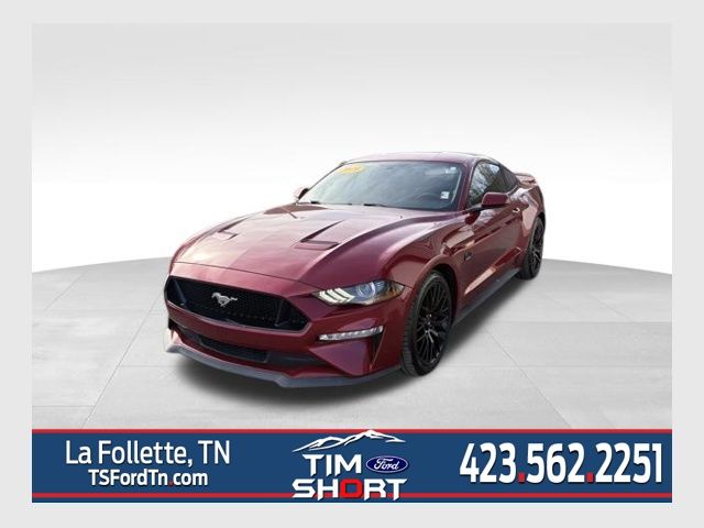 Ruby Red Metallic 2019 Ford Mustang GT Coupe RWD Coupe Rear-Wheel Drive 6-Speed Manual