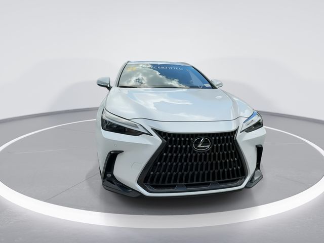 2024 Lexus NX - $40,998
