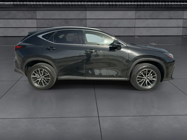 2024 Lexus NX - $38,788
