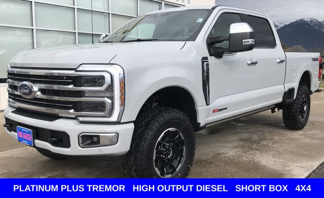 New 2026 Gray Ford Platinum image 4