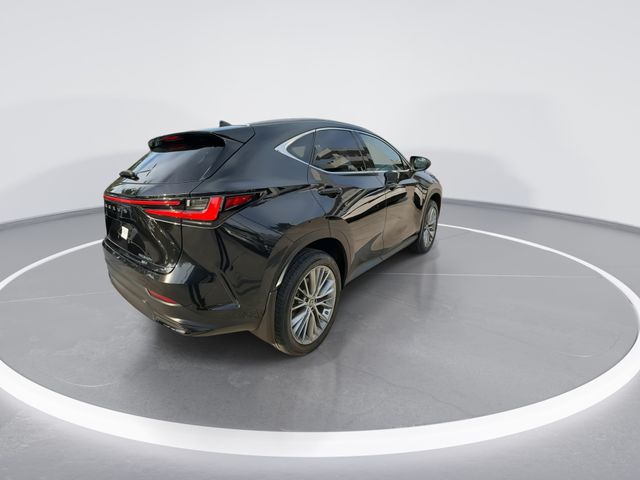 Used 2023 Lexus NX SUV