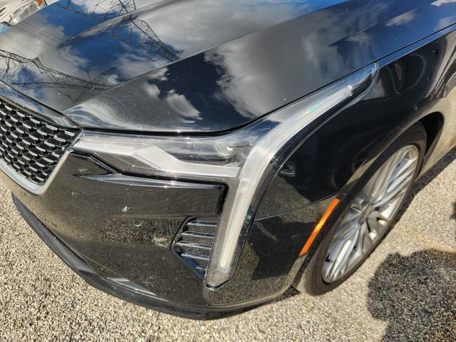 car-gallery-6