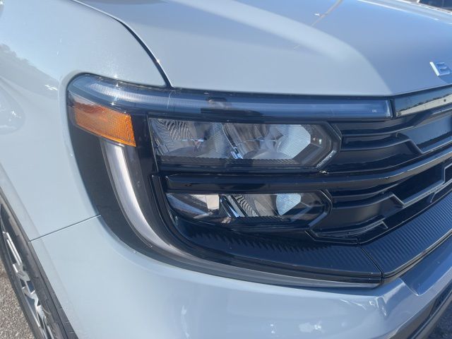 2026 Ford Expedition Active:168581