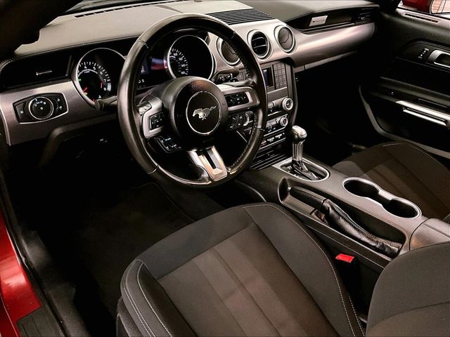 2019 Ford Mustang GT Red at Grove City Ford