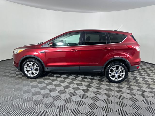 2013 Ford Escape SEL 4WD's photo