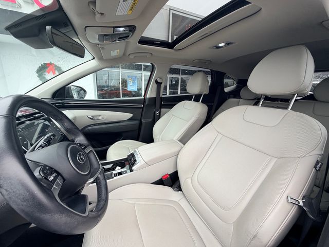 2023 Hyundai Tucson SEL Red at Stokes Mazda