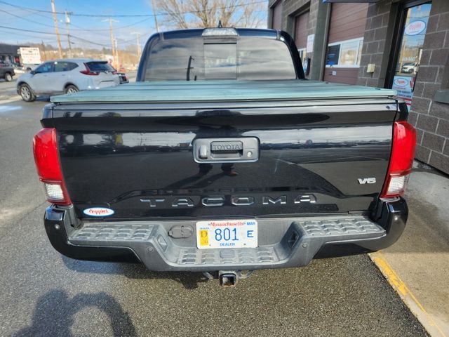 Used 2019 Toyota Tacoma Truck