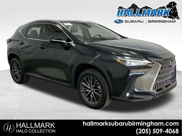 2024 Lexus NX 250 Premium