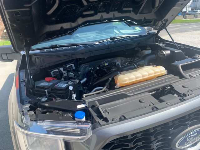 Used 2021 Ford F-150 Truck