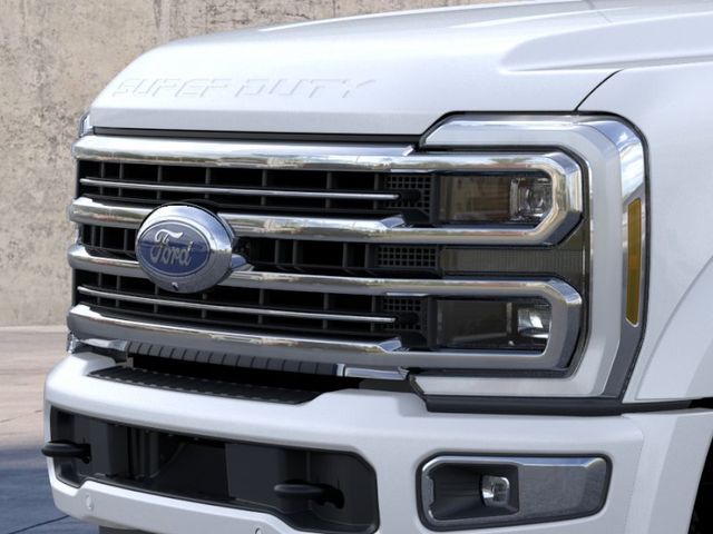 New 2026 White Ford Platinum image 17