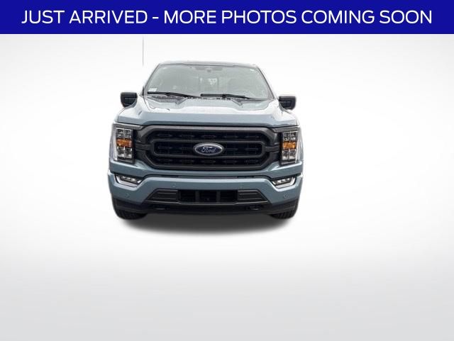 Blue 2023 Ford F-150 Pickup Truck Four-Wheel Drive Automatic