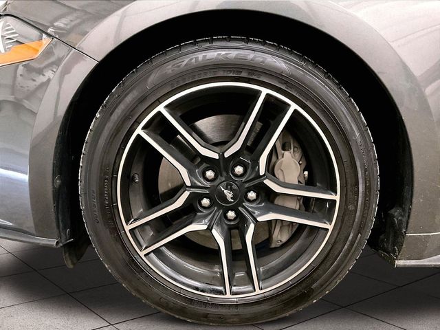2019 Ford Mustang GT Gray at Grove City Ford