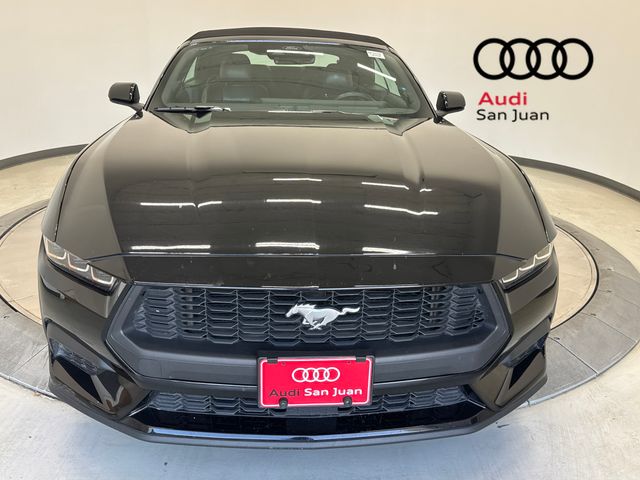 Used 2025 Black Ford EcoBoost Premium image 2