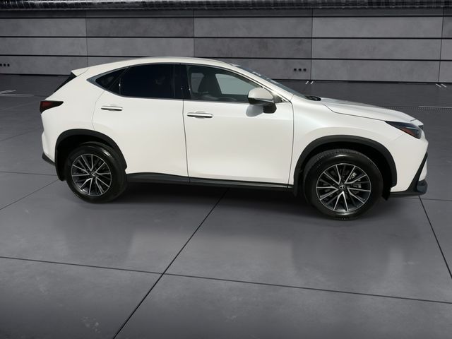 Used 2025 Lexus NX SUV