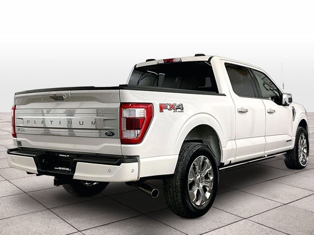 2022 Ford F-150 Platinum - 10