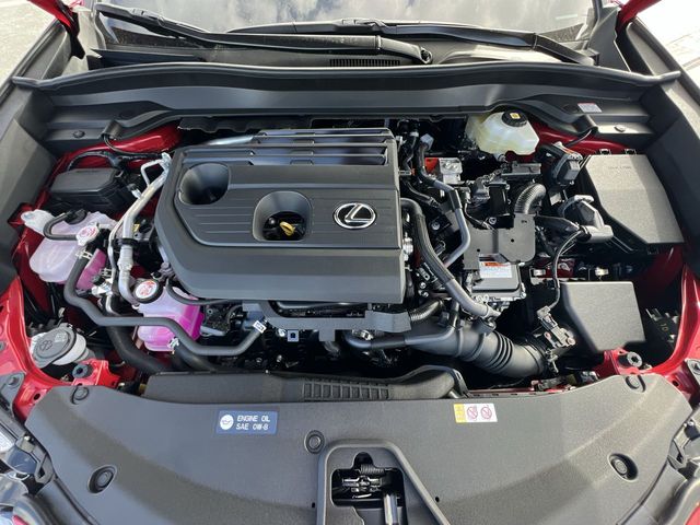 2025 Lexus UX