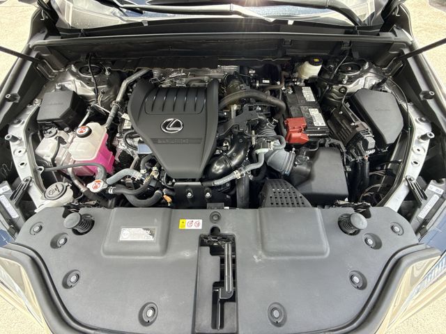 2025 Lexus NX - $45,998