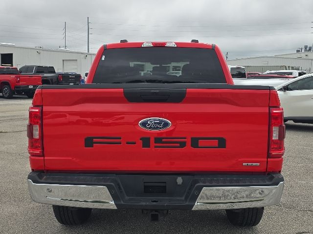 2023 Ford F-150 XLT:168635A