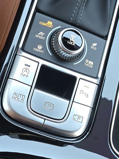 2024 Kia Telluride SX X-Line:168933A