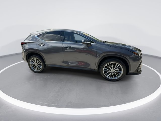 2023 Lexus NX - $41,898