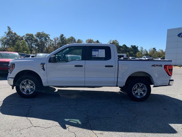 2023 Ford F-150 XLT 2