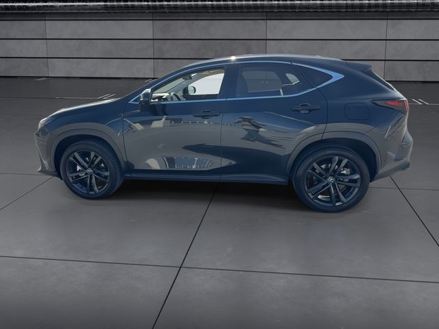 Used 2025 Lexus NX SUV