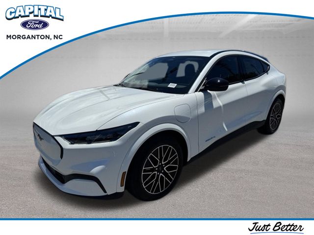 New 2026 White Ford Premium image 4