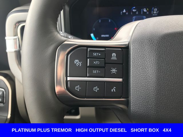 New 2026 Gray Ford Platinum image 12