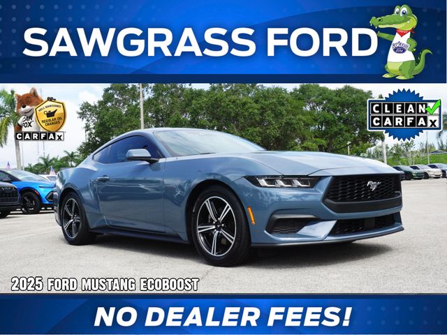 Vapor Blue 2025 Ford Mustang Coupe Rear-Wheel Drive Automatic