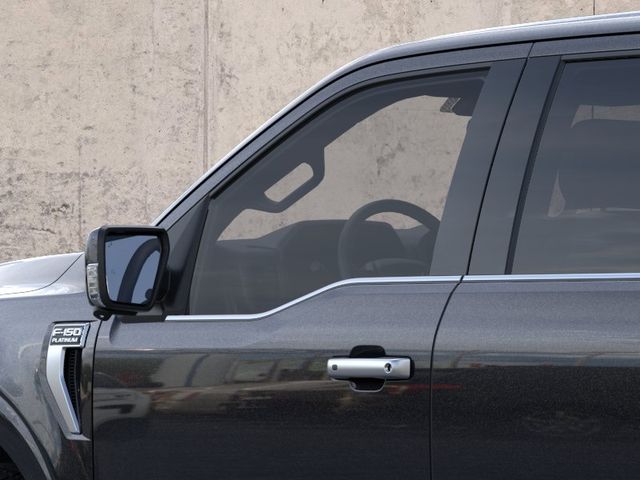 New 2026 Black Ford Platinum image 20